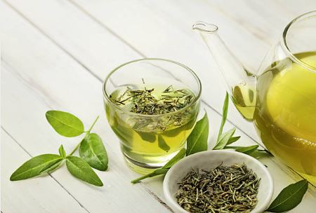 does green tea dehydrate you